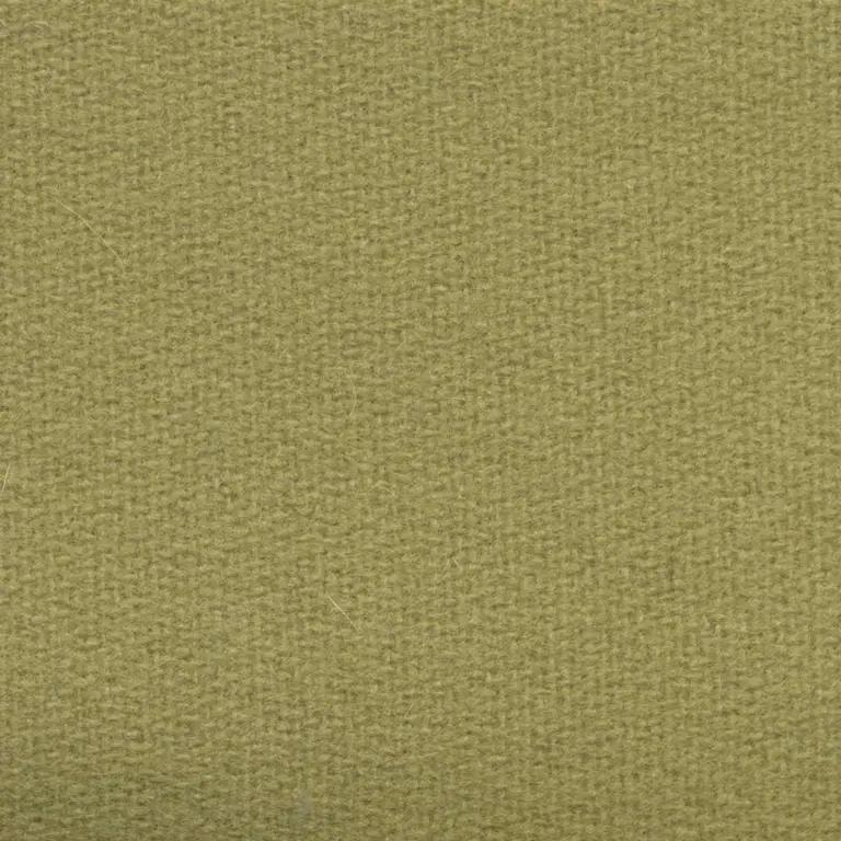Olive H472