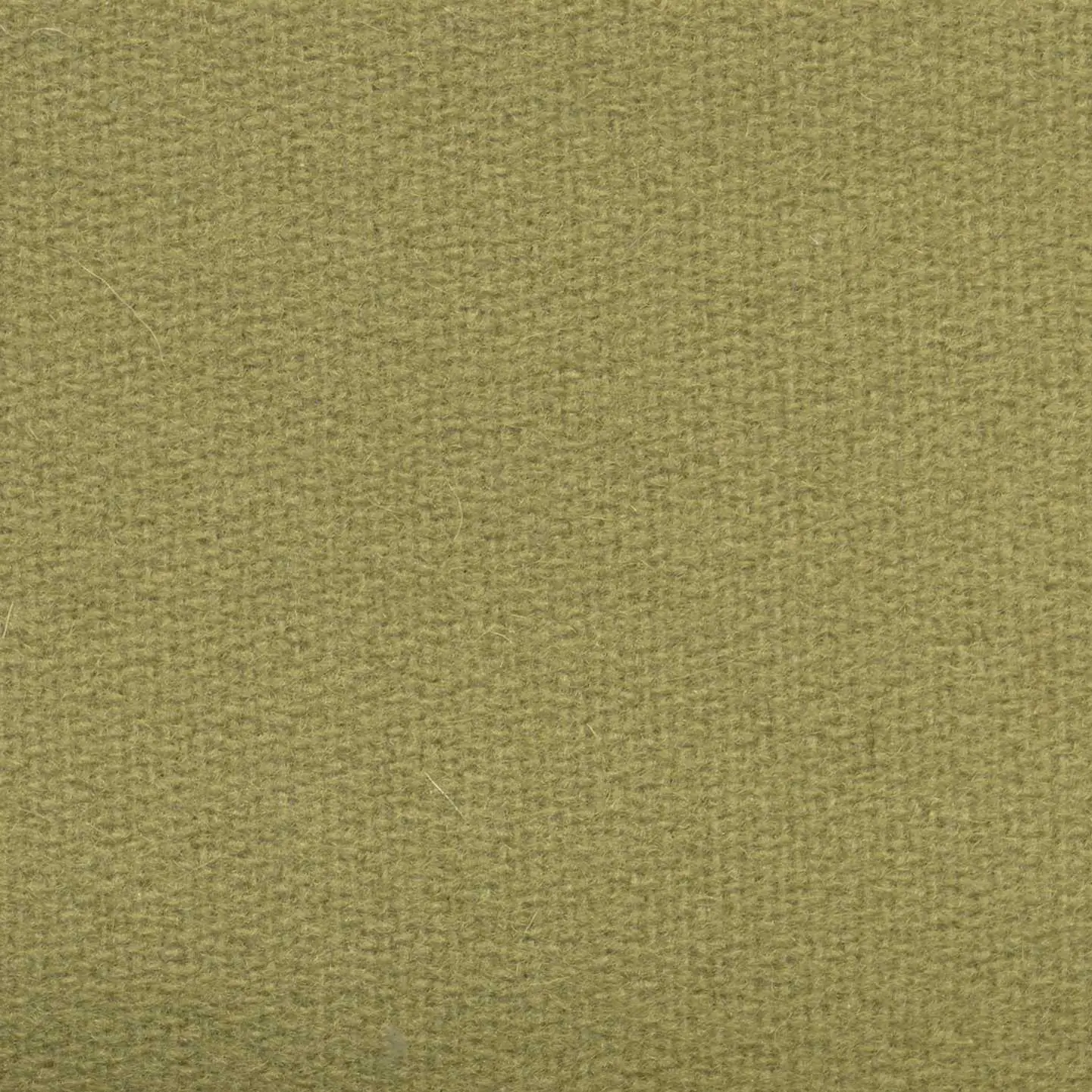 Olive H472 | Savoy FR