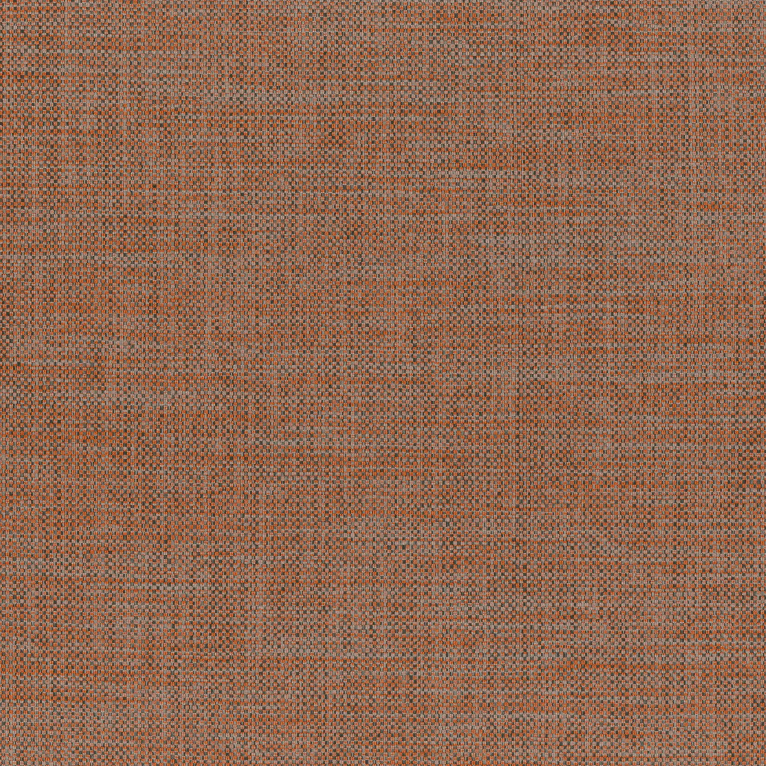 Pecan 02 | Murano