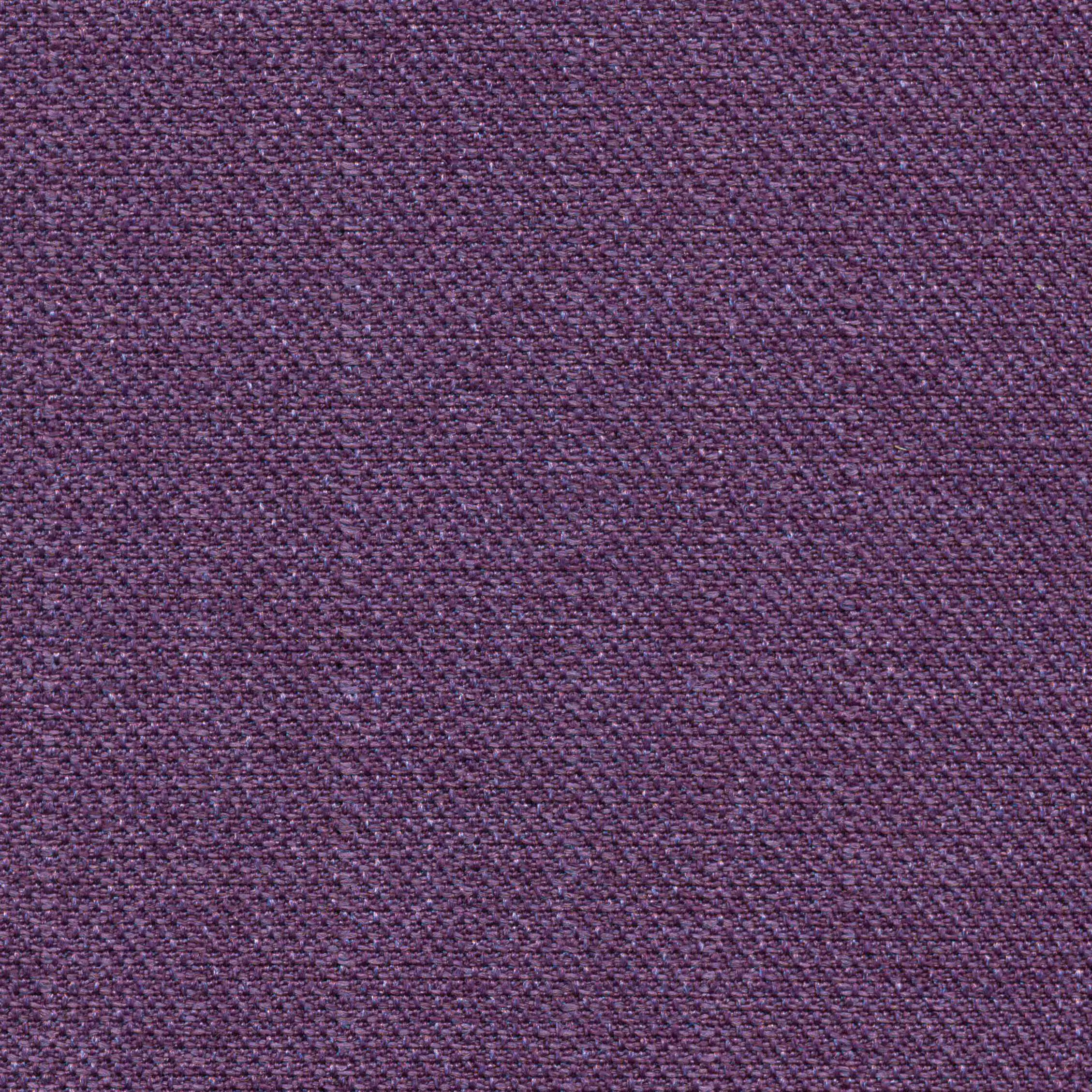 Purple 647 | Saute