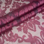 Violet 11 | Madelia