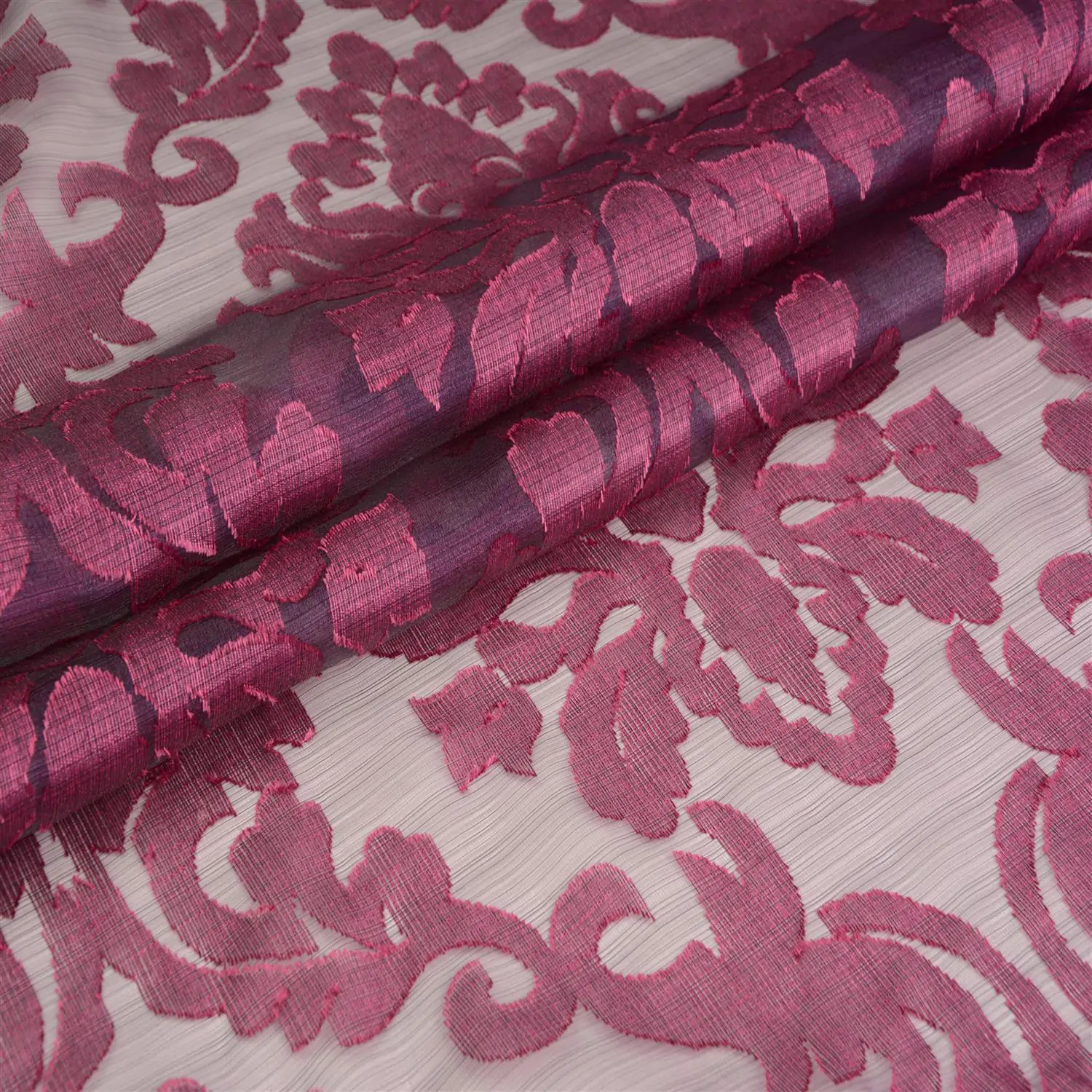 Violet 11 | Madelia