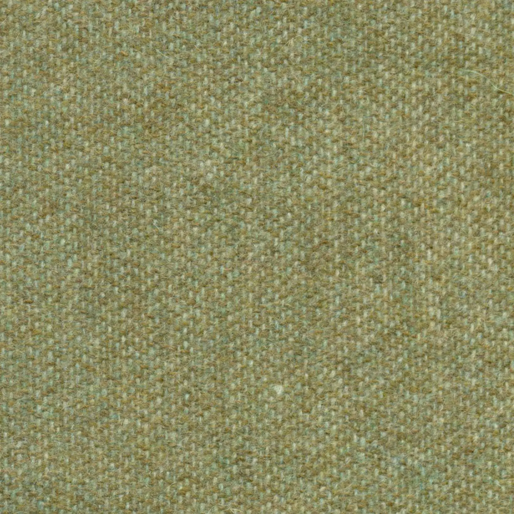 Mint 539 | Savoy FR