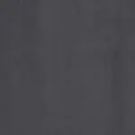 Pewter 18 | Rainer