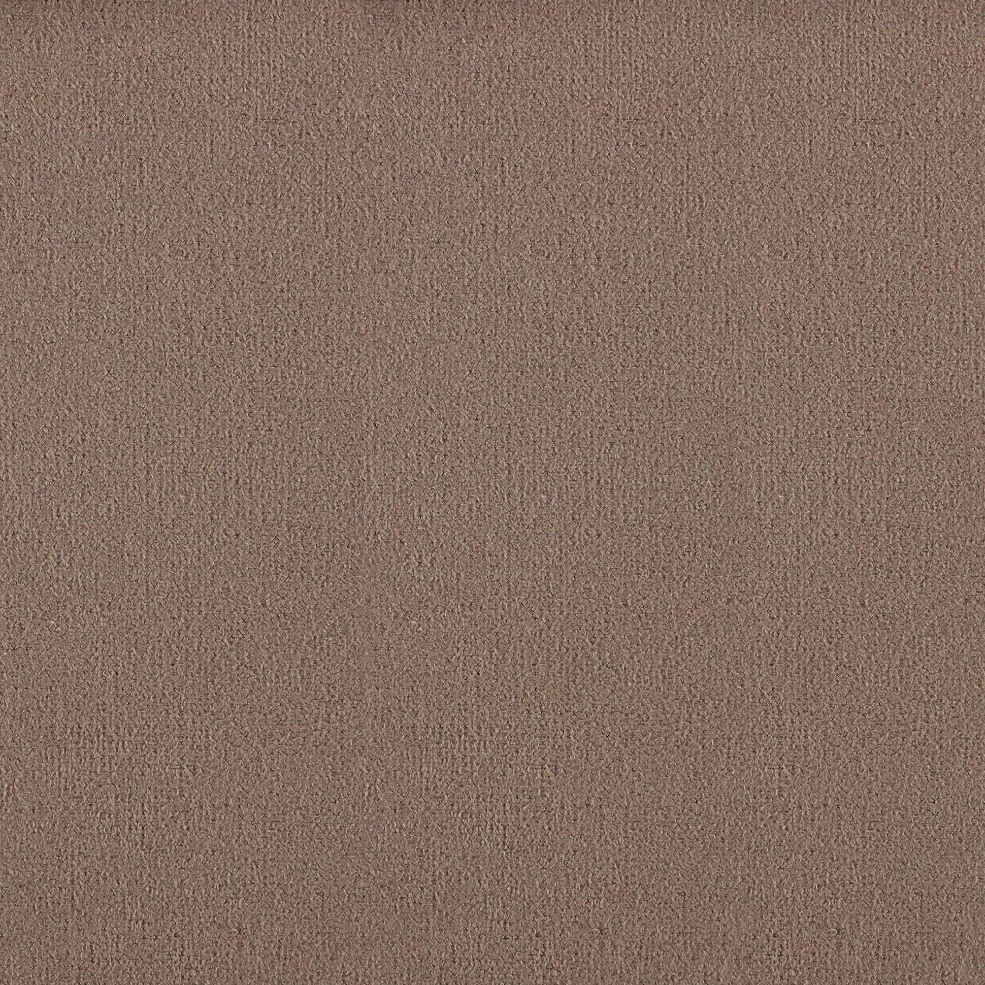 Sepia 065 | Leader
