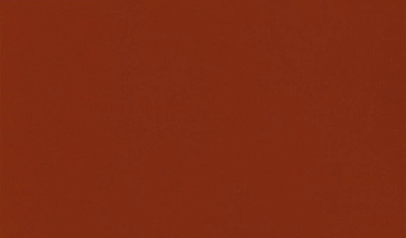 Terracotta 64 | Renard