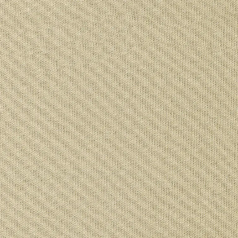 Putty 12