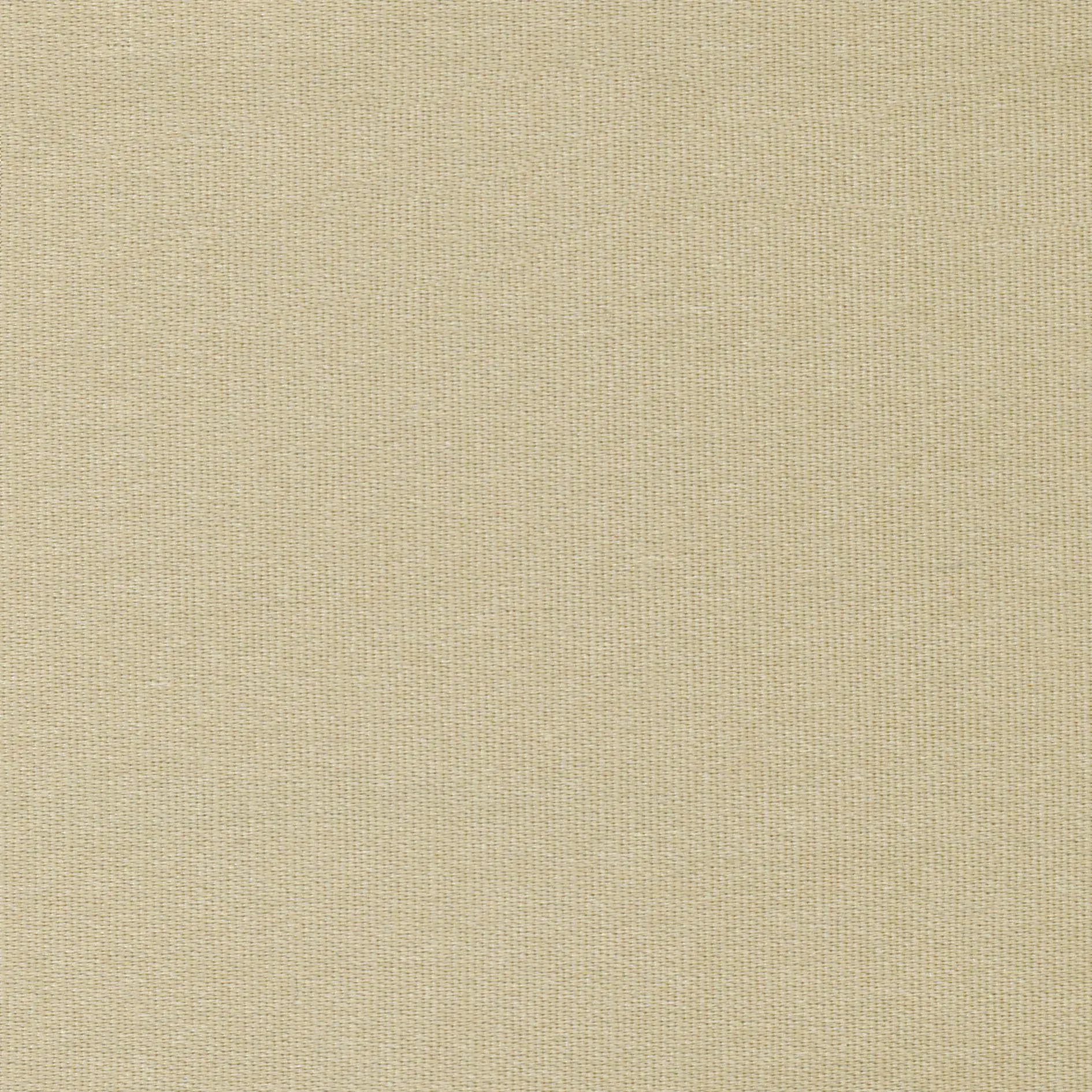 Putty 12 | Melba