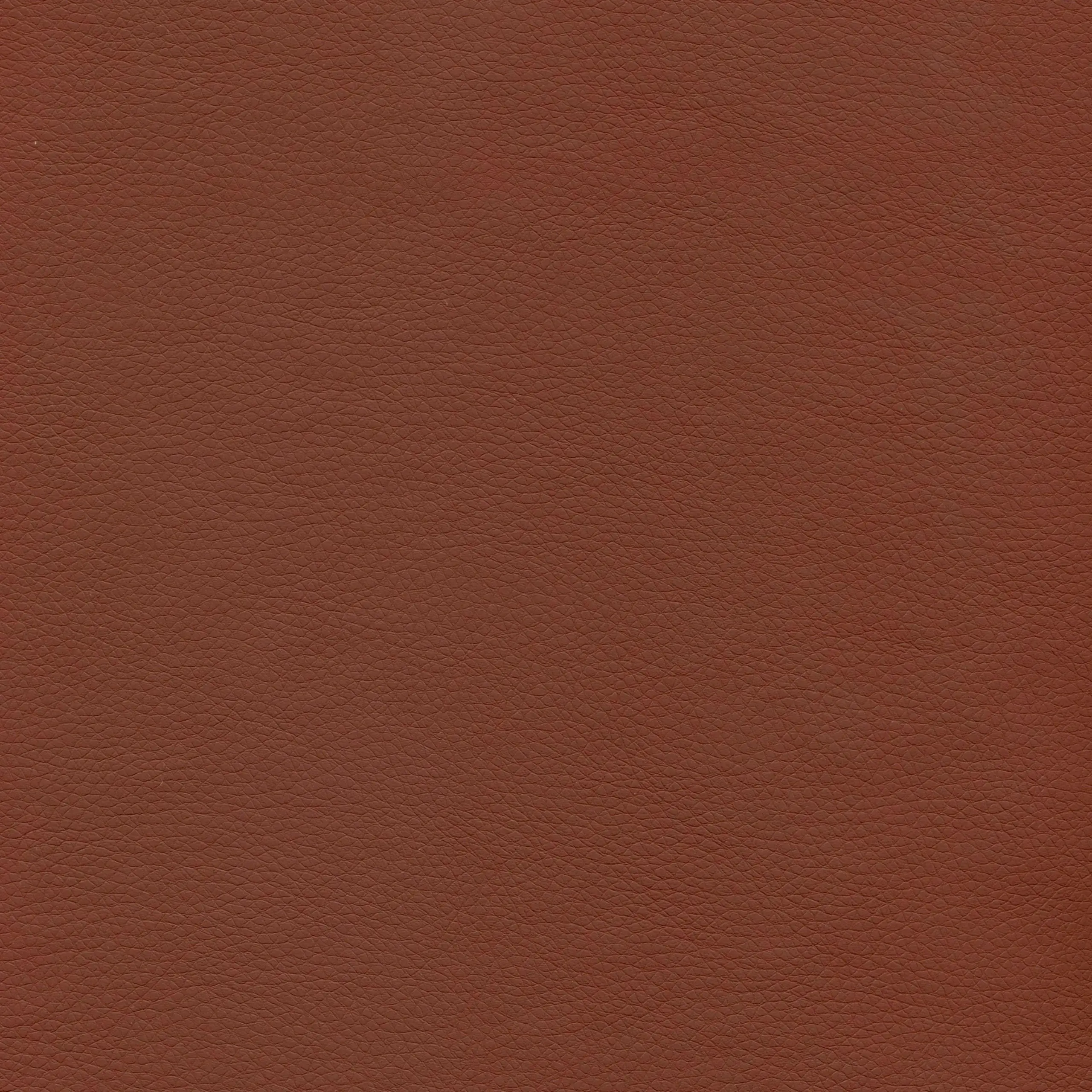 Chestnut | Merita