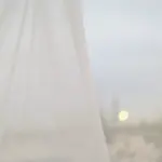 White 503 | Puro