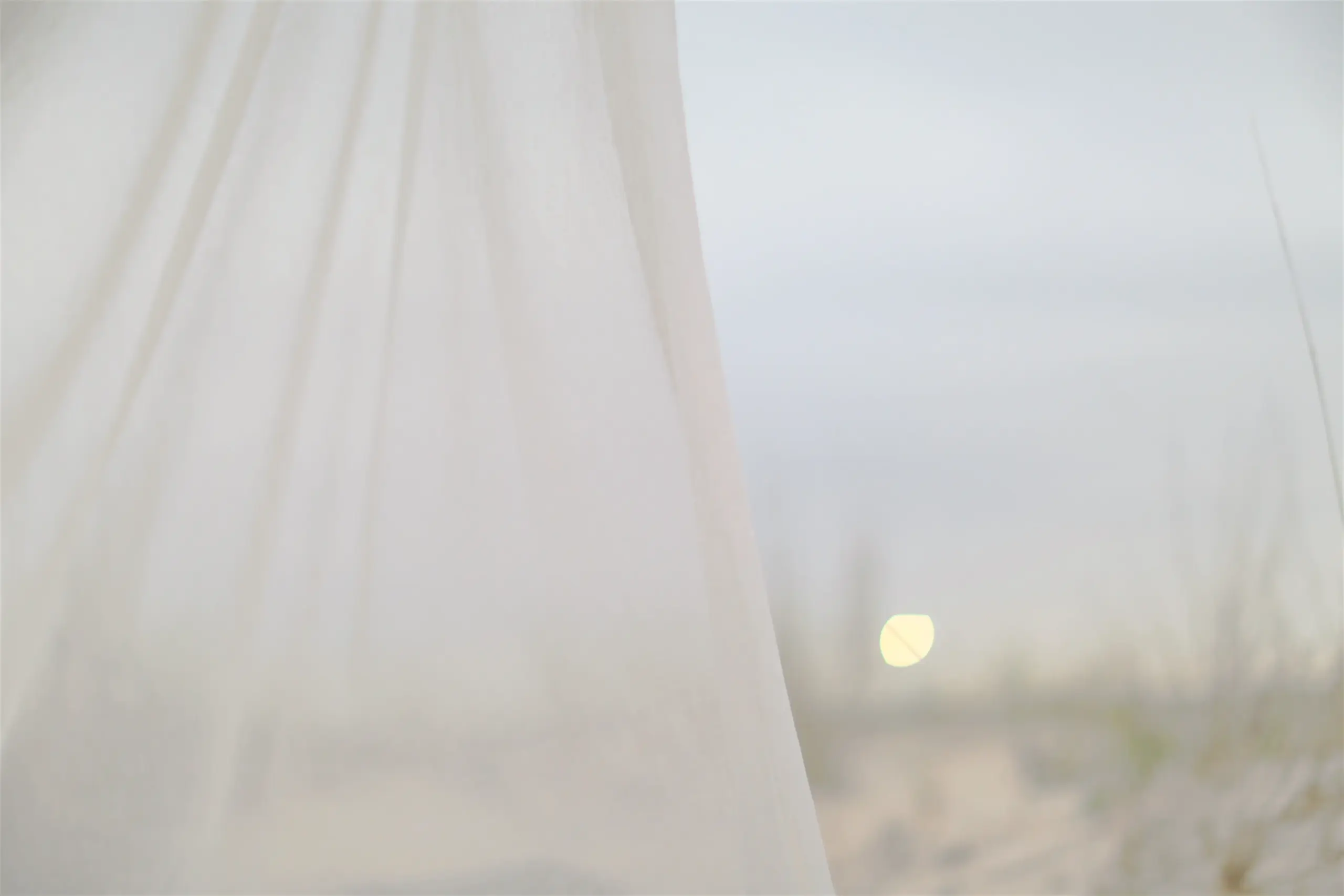 White 503 | Puro
