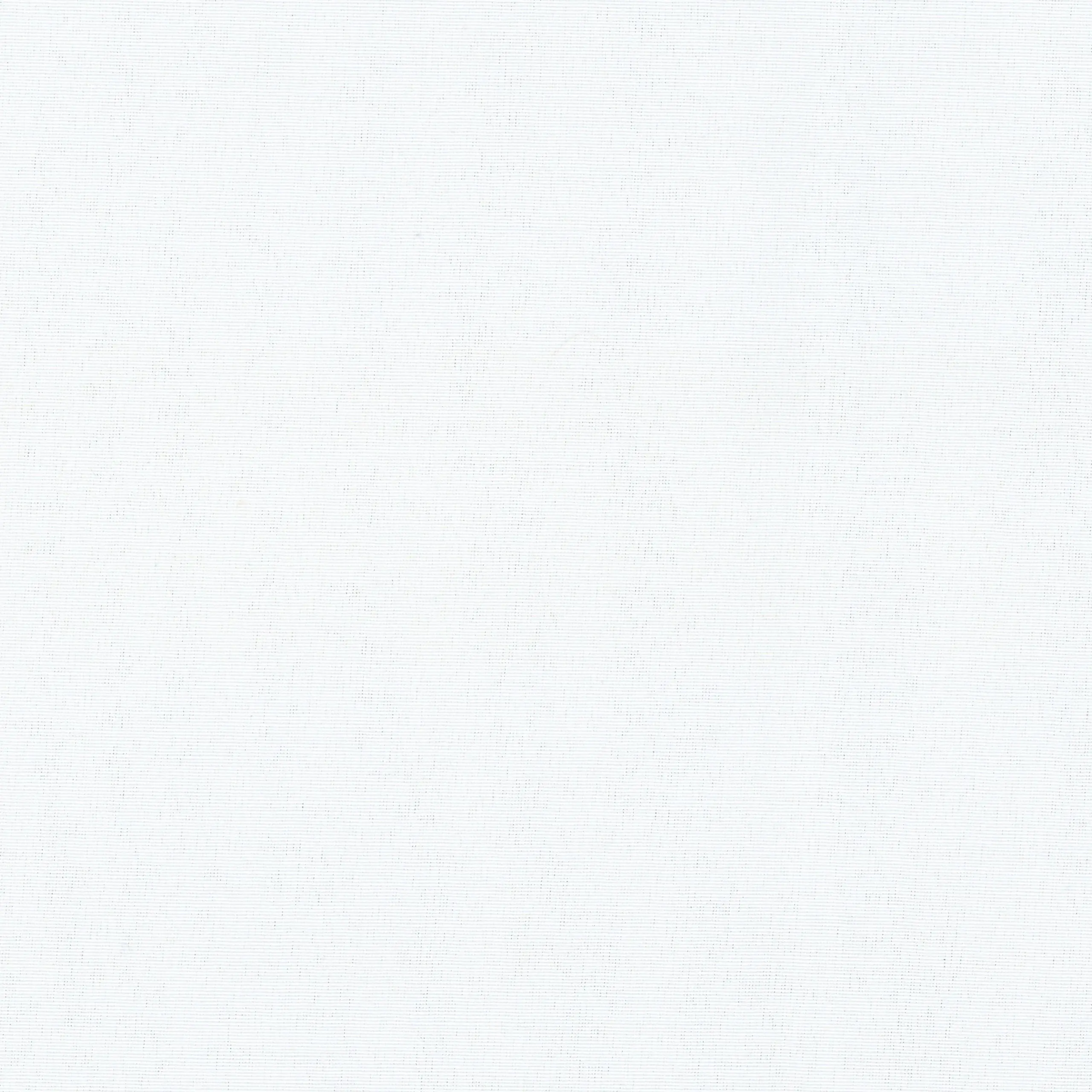 Snowdrop 00 | Nazario FR