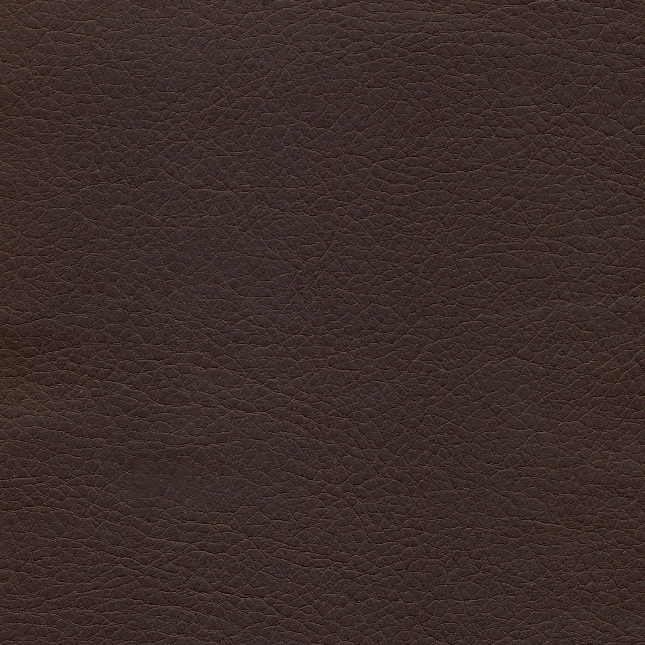 Wenge | Mansur
