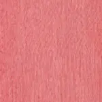 Ruby 81 | Sari