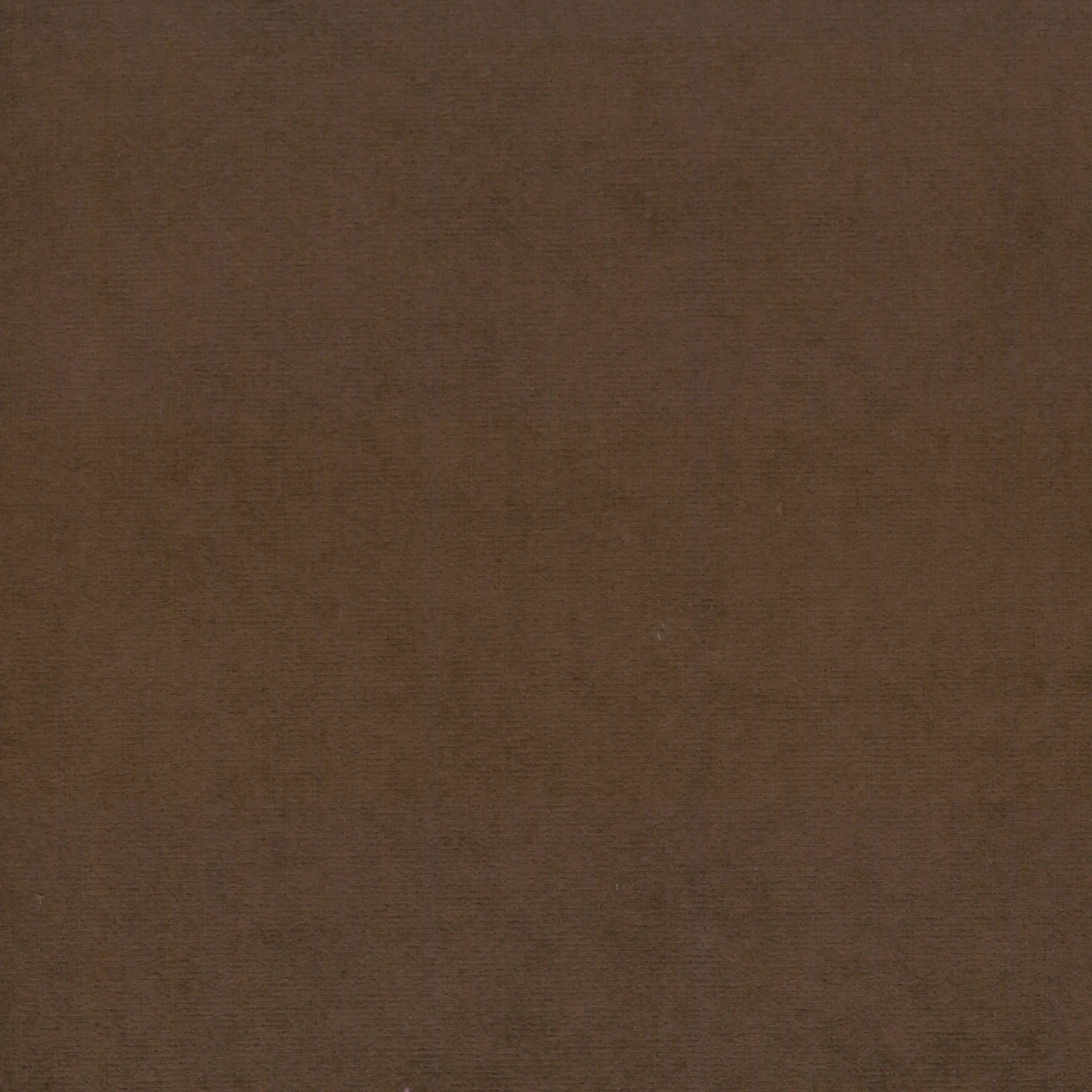 Cocoa 20 | Scot