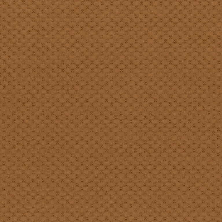 Sudan Brown 70