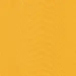 Squash | Sunset