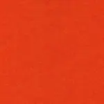 Tangerine 300 | Omar