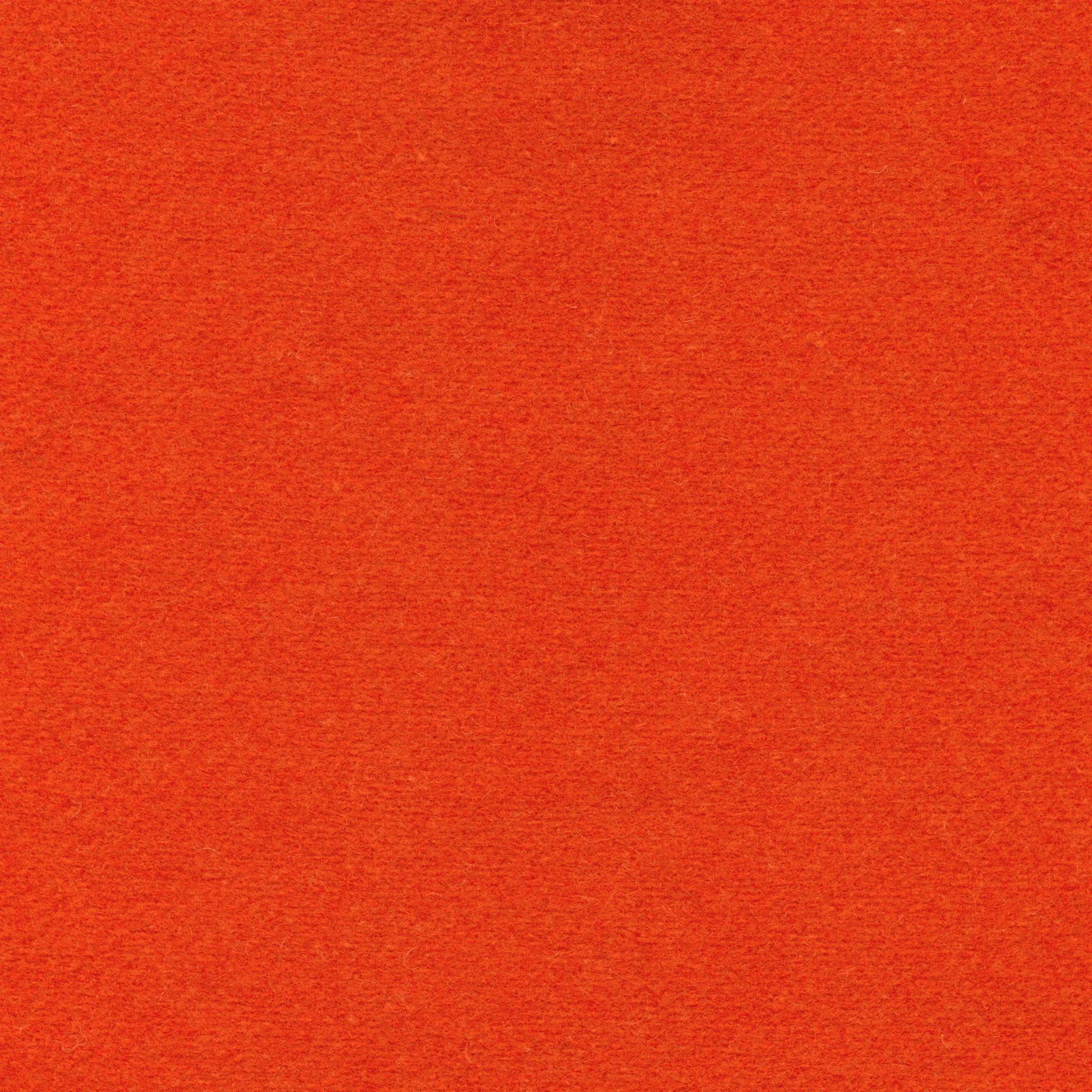 Tangerine 300 | Omar