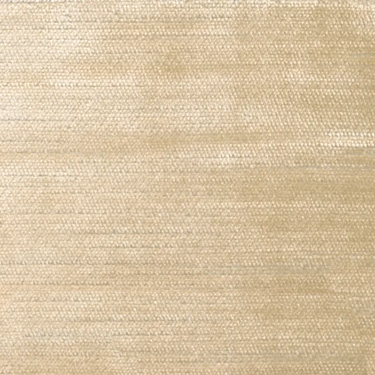 Calico 349