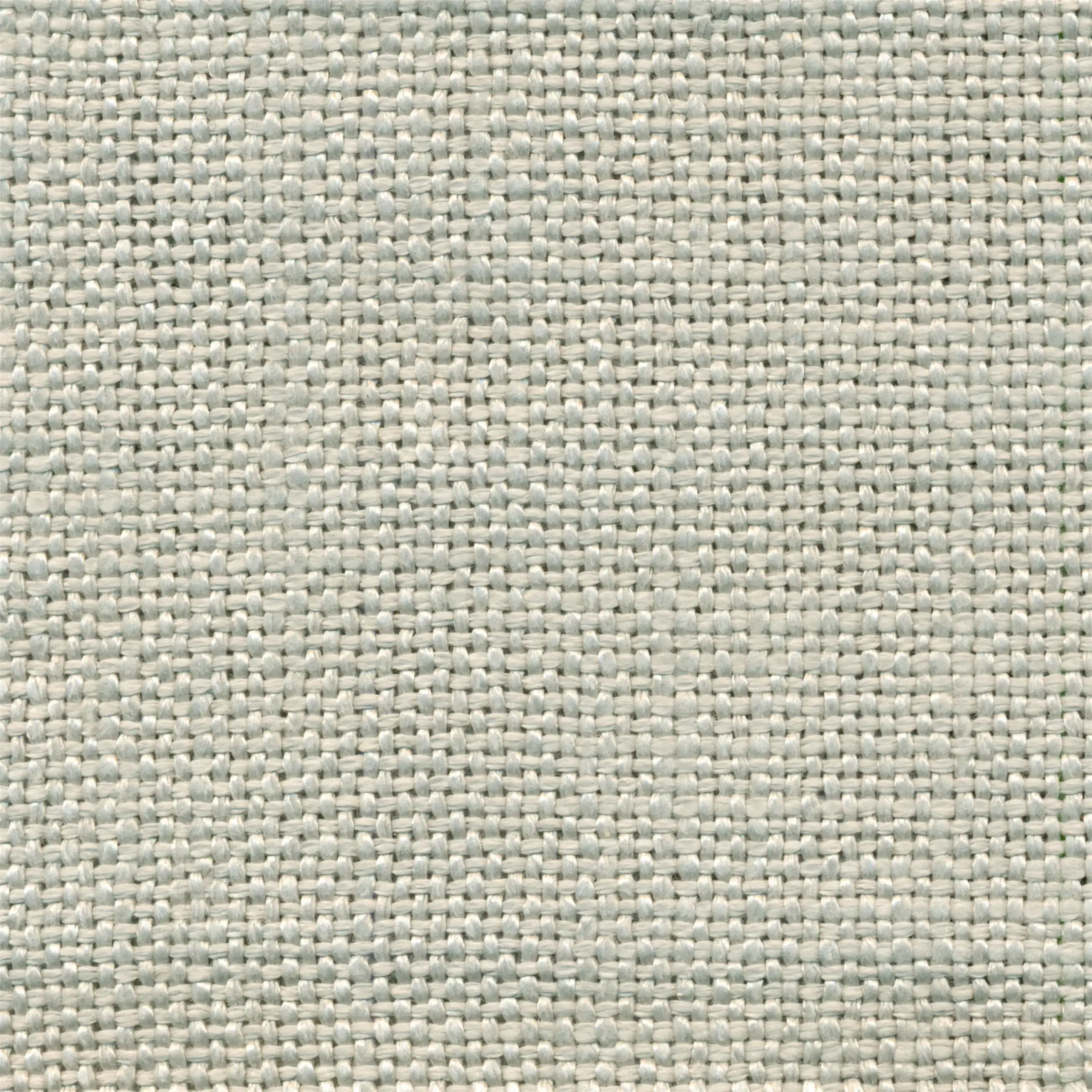 Silver 11 | Salma