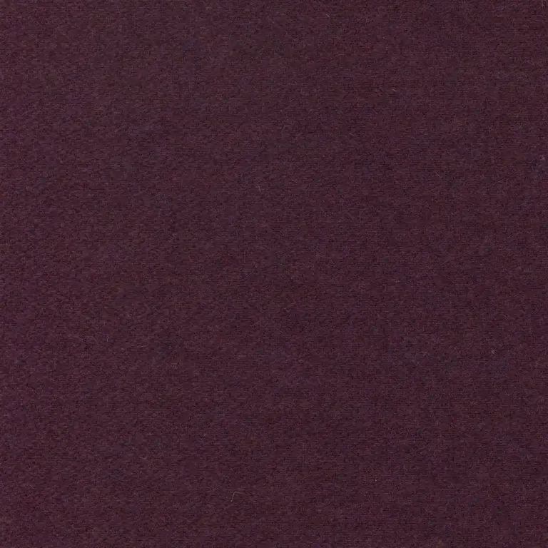 Eggplant 12