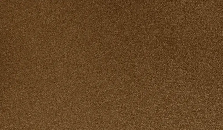 Sepia 17