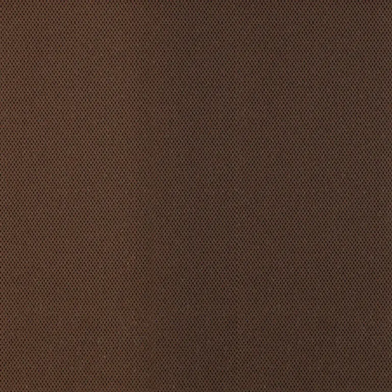 Brownie 034