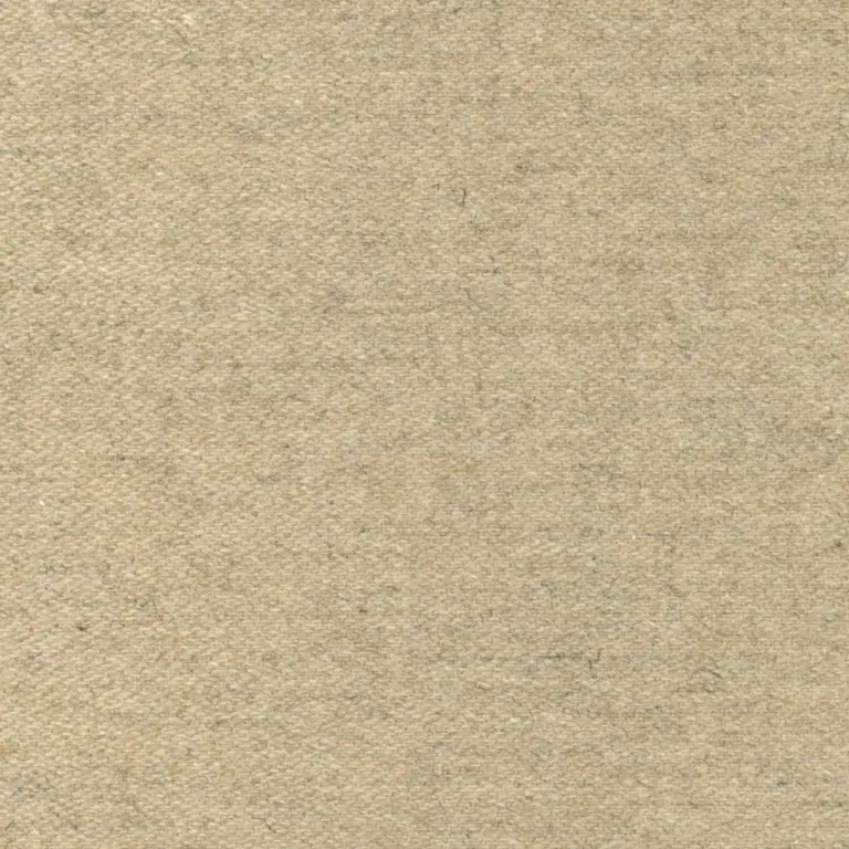 Calico 29