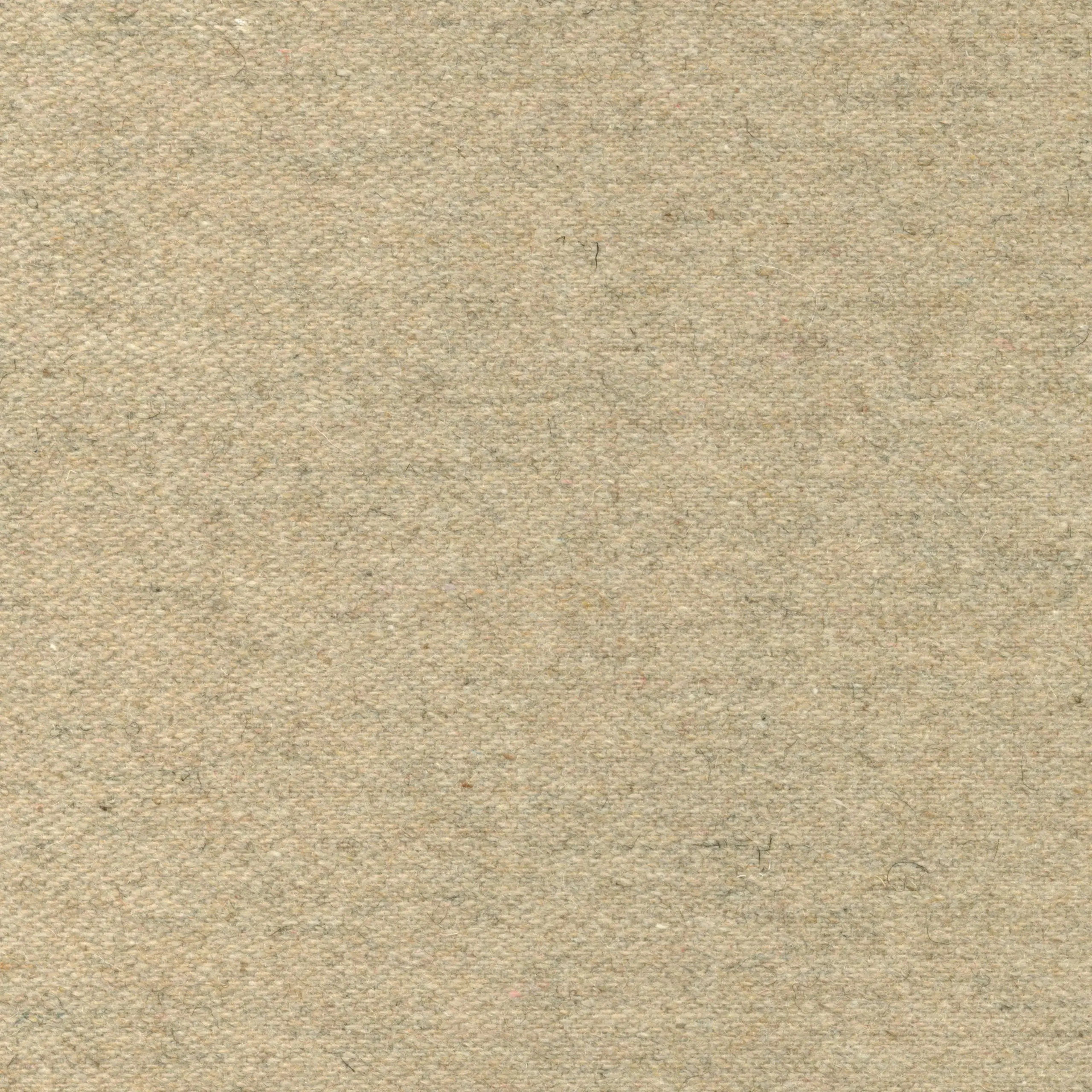 Calico 29 | Wool