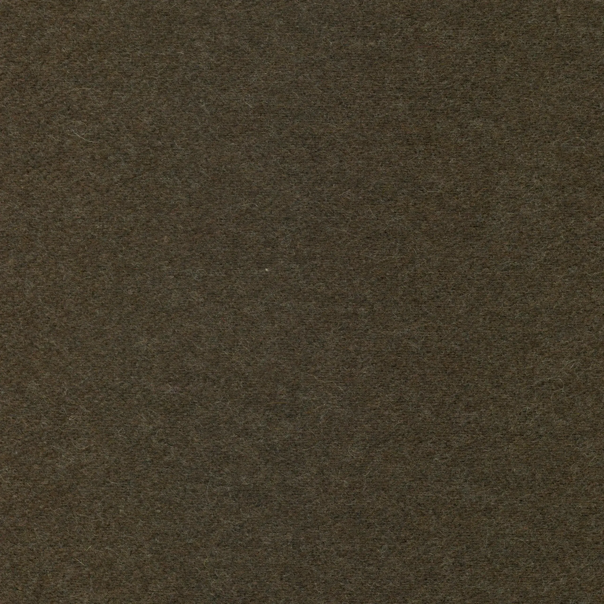 Chinchilla 08 | Wool