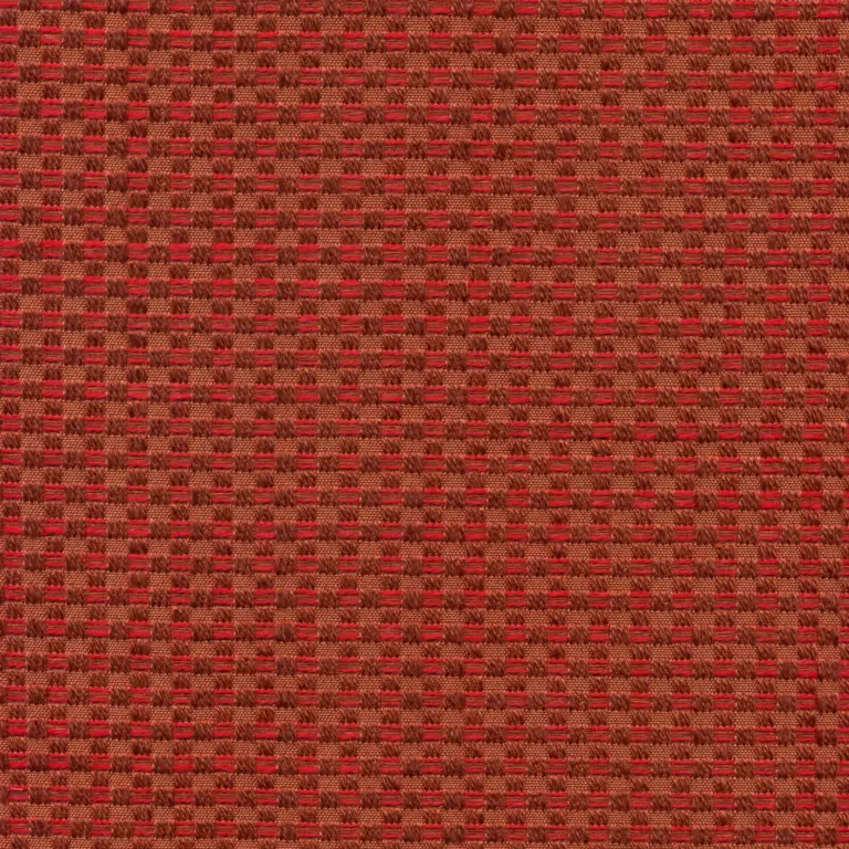 Raspberry 53