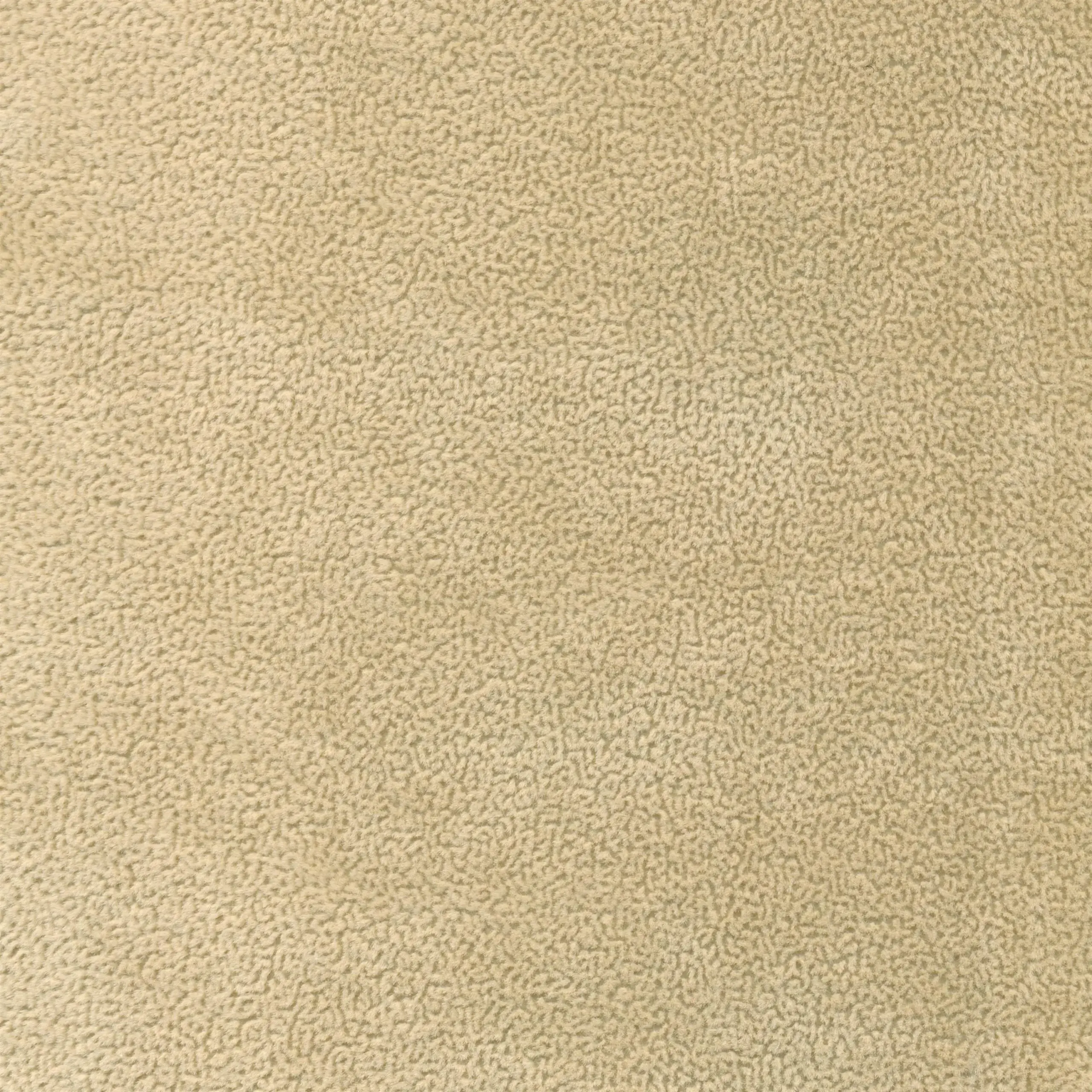 Beige 02 | Touli
