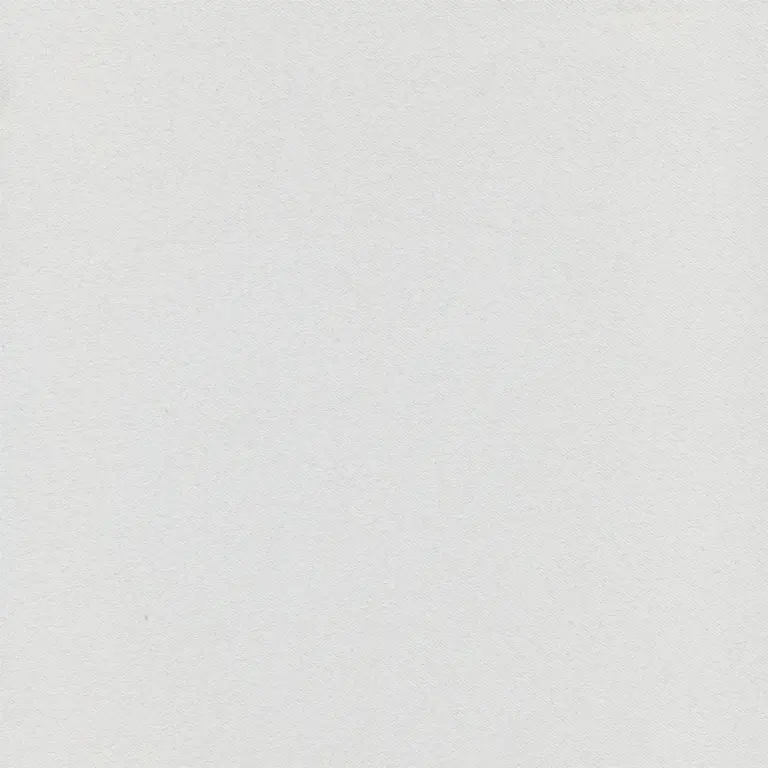 Silver 702