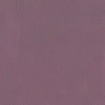 Berry 044 | Nestor