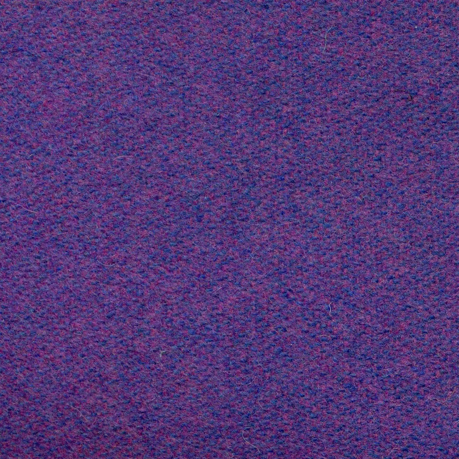 Skipper 546 | Savoy FR