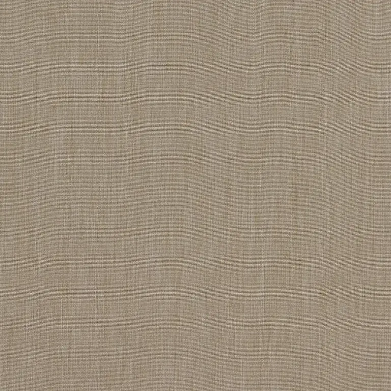 Antelope 05
