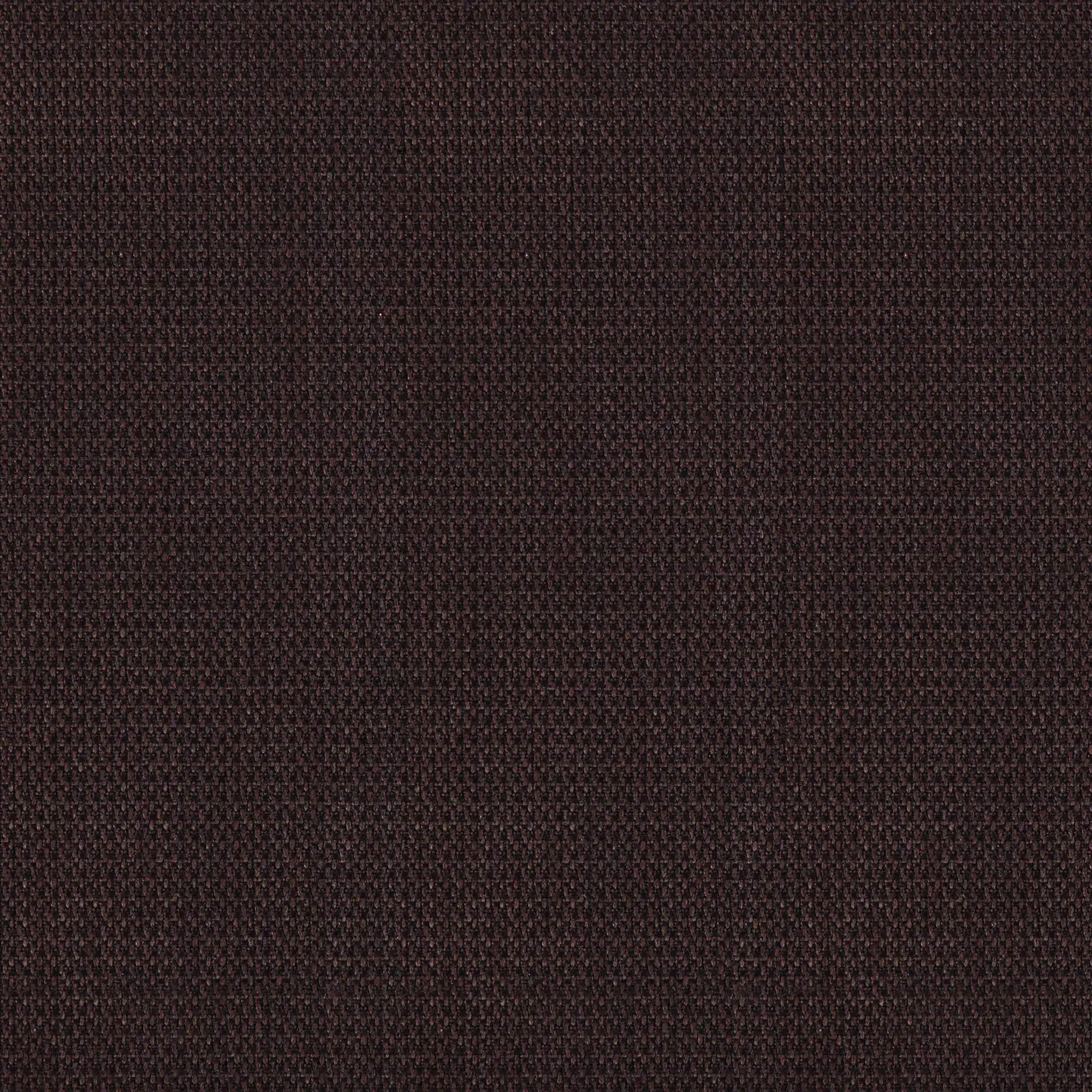 Tiramisu 020 | Perfection