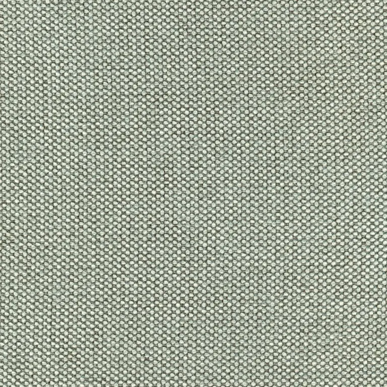 Silver 06