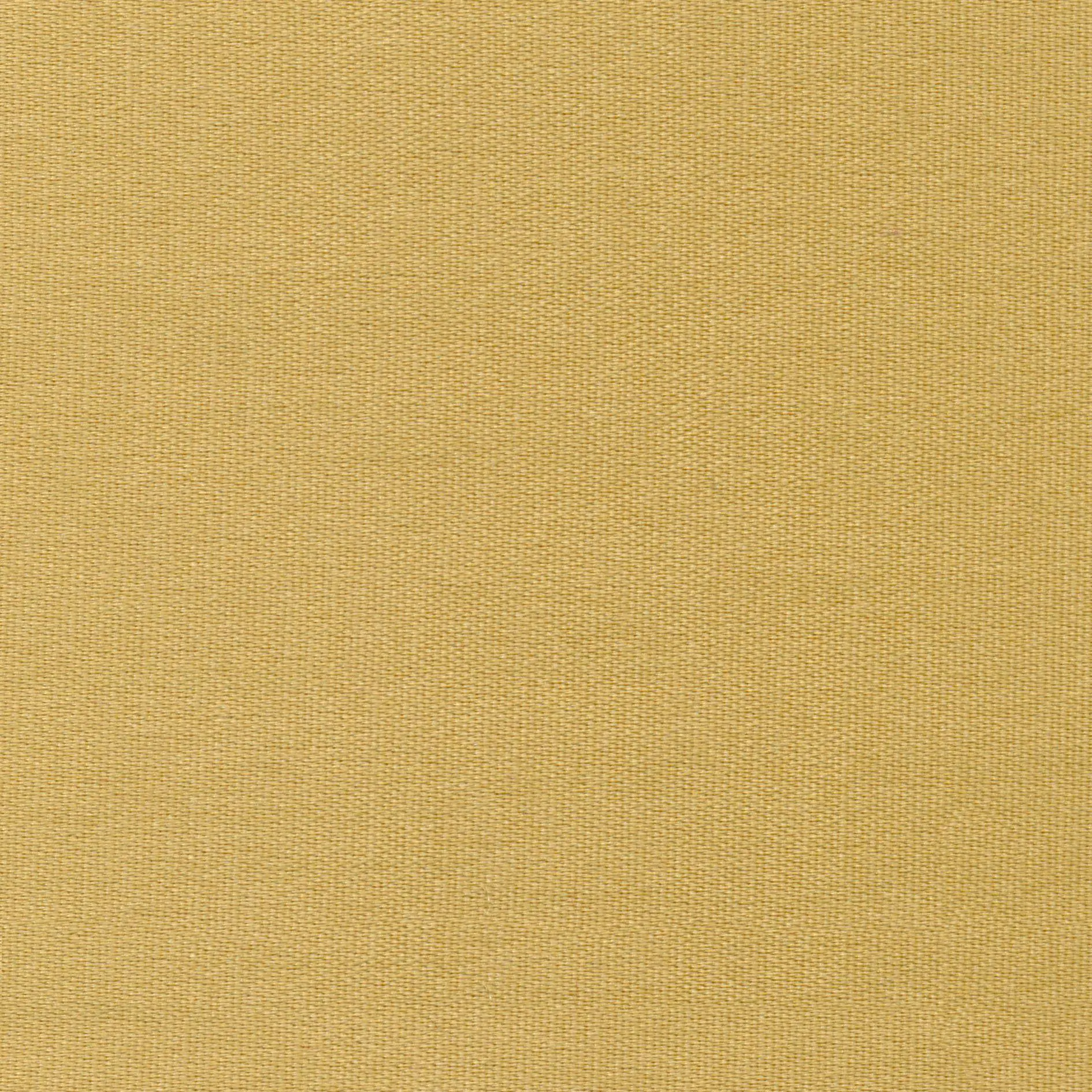 Wheat 42 | Melba