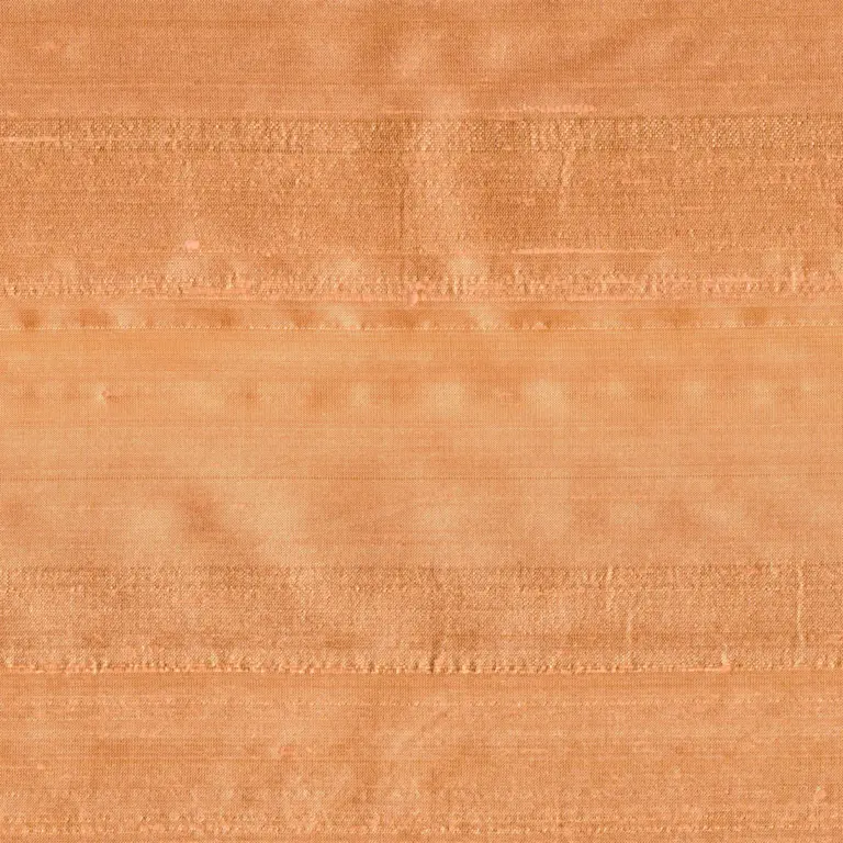 Coral 041