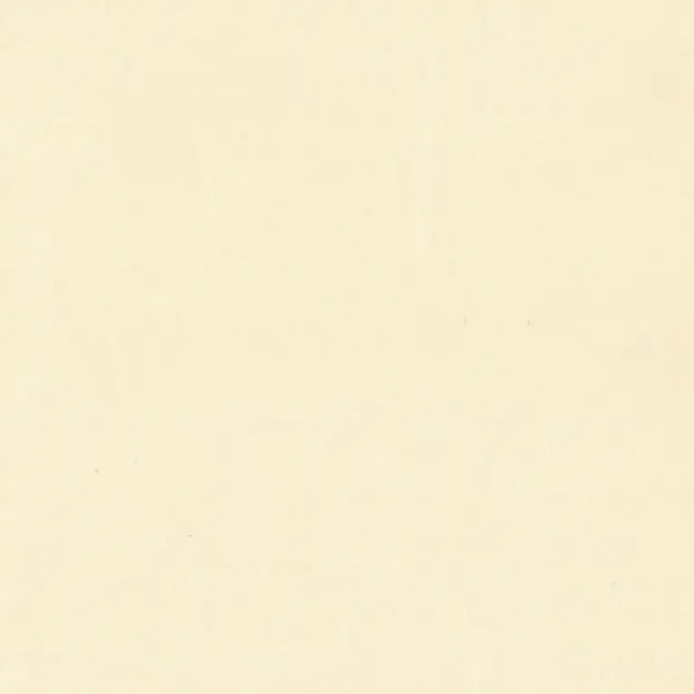Champagne 80