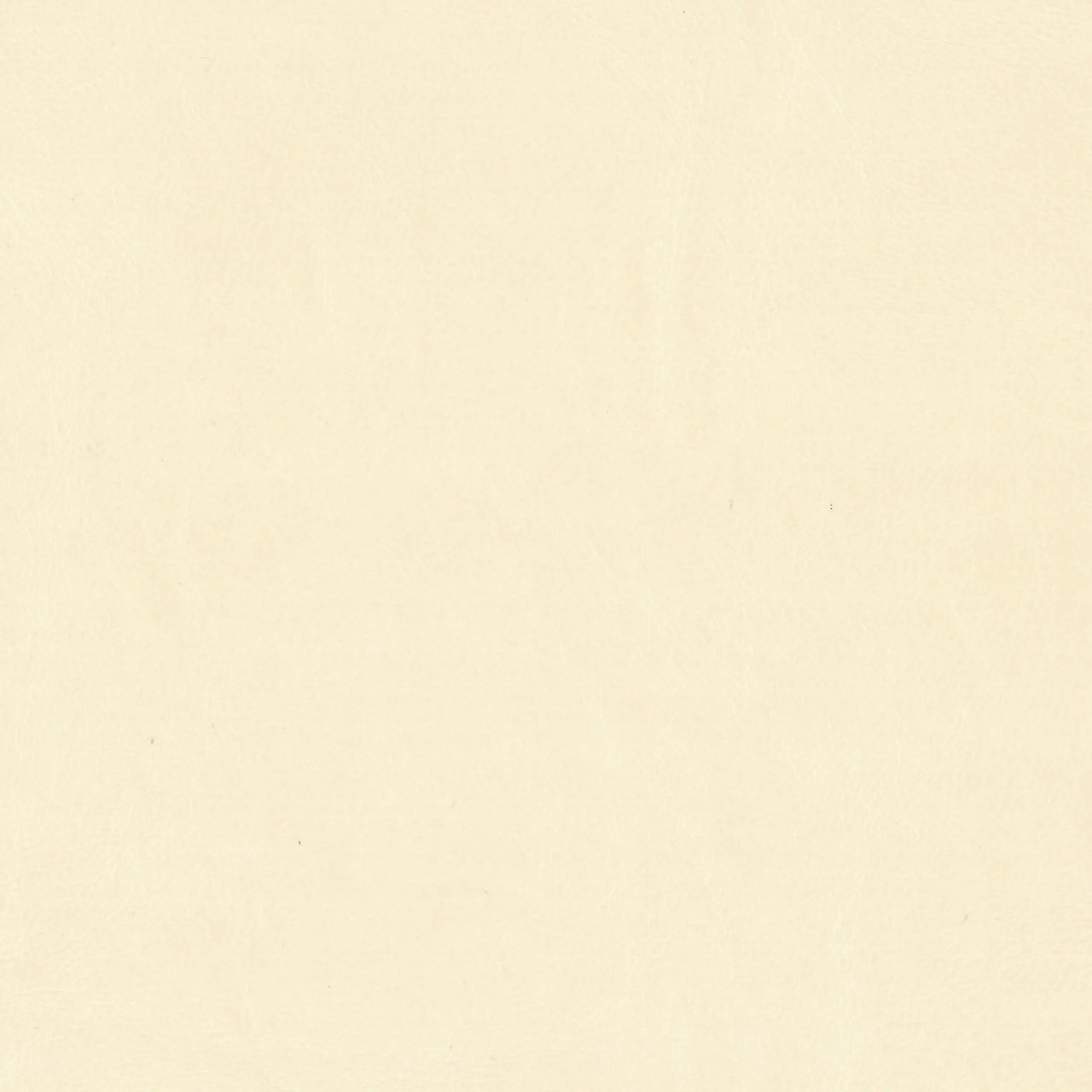 Champagne 80 | Matrix FR