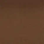 Chipmunk 049 | Robust