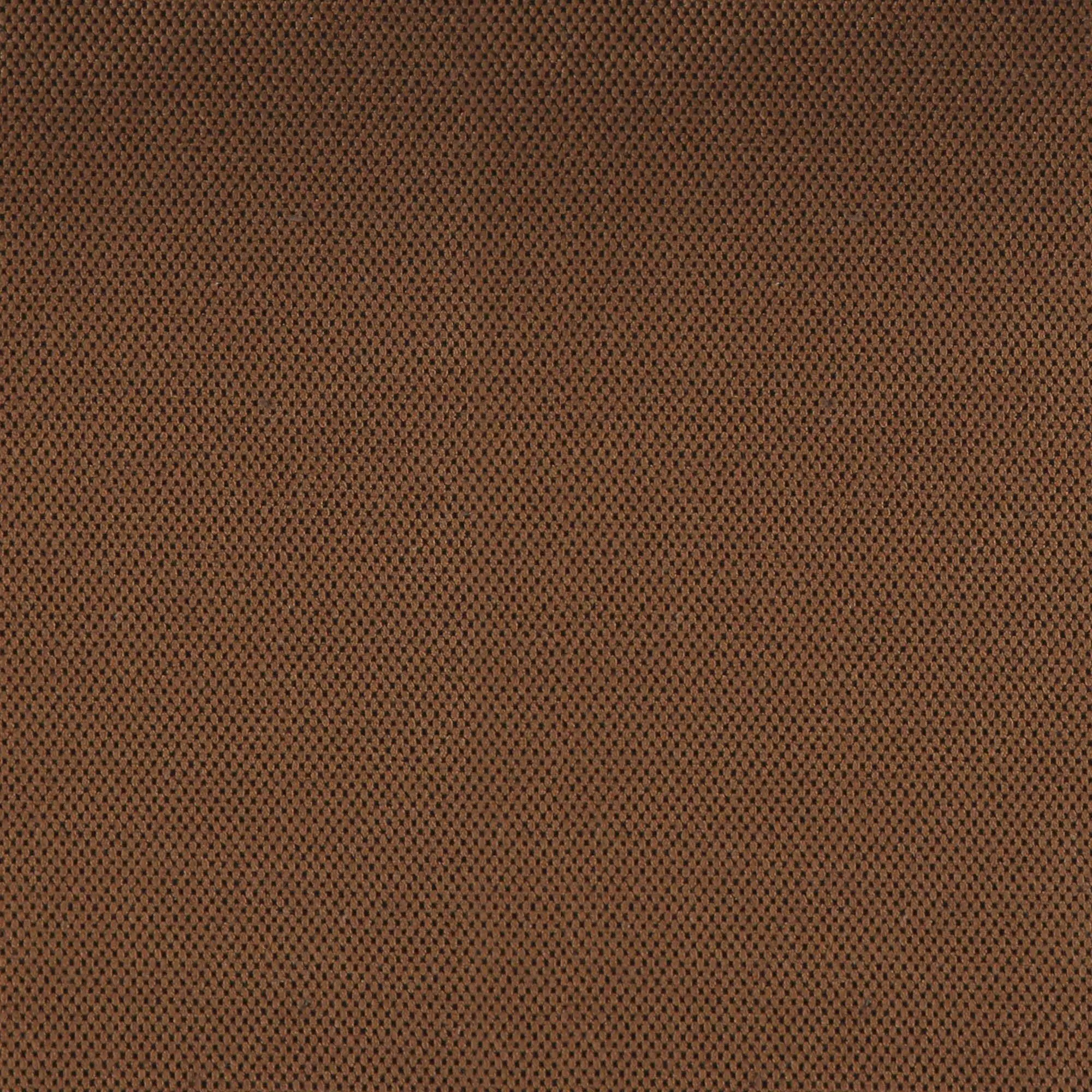 Chipmunk 049 | Robust