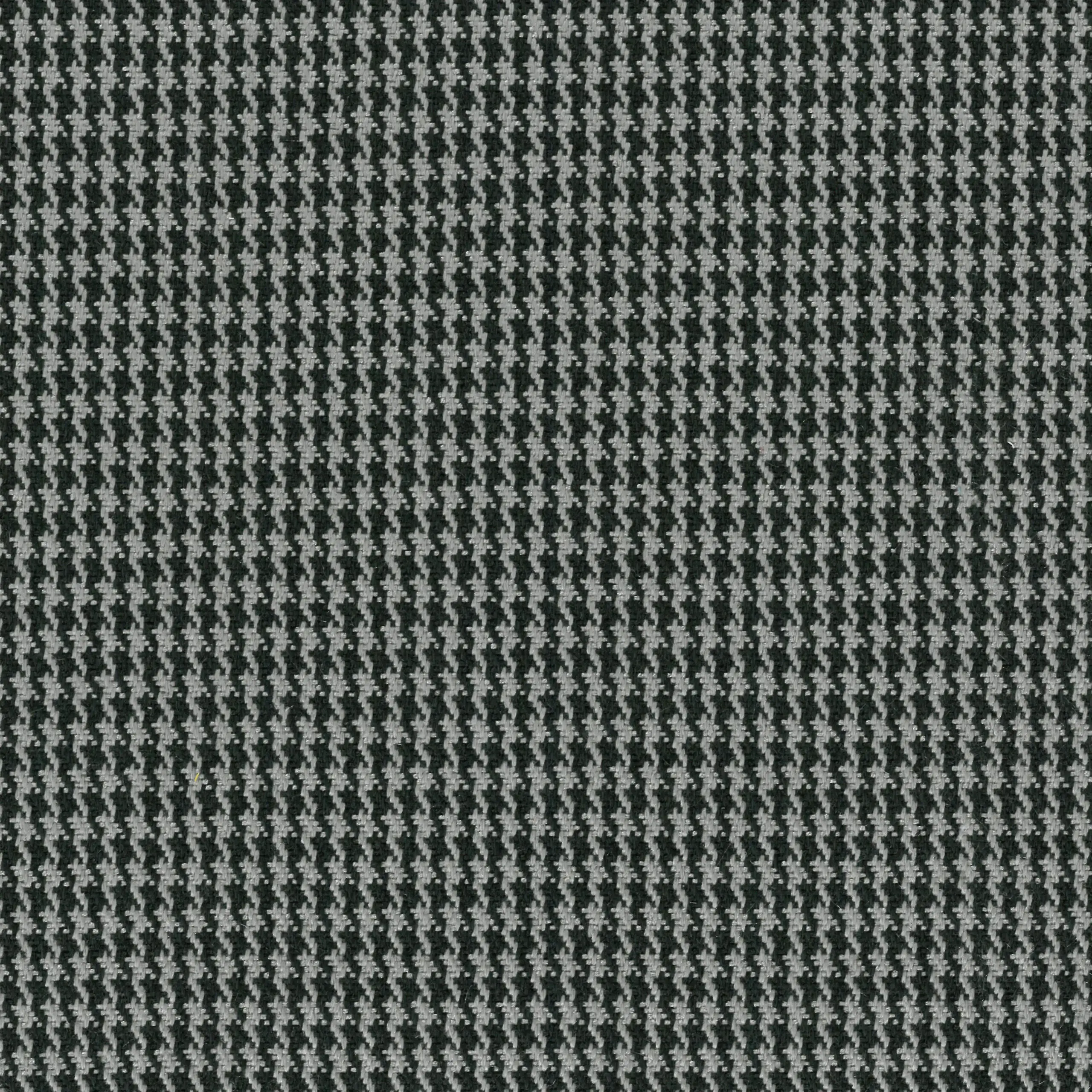Grey 253 | Pedro