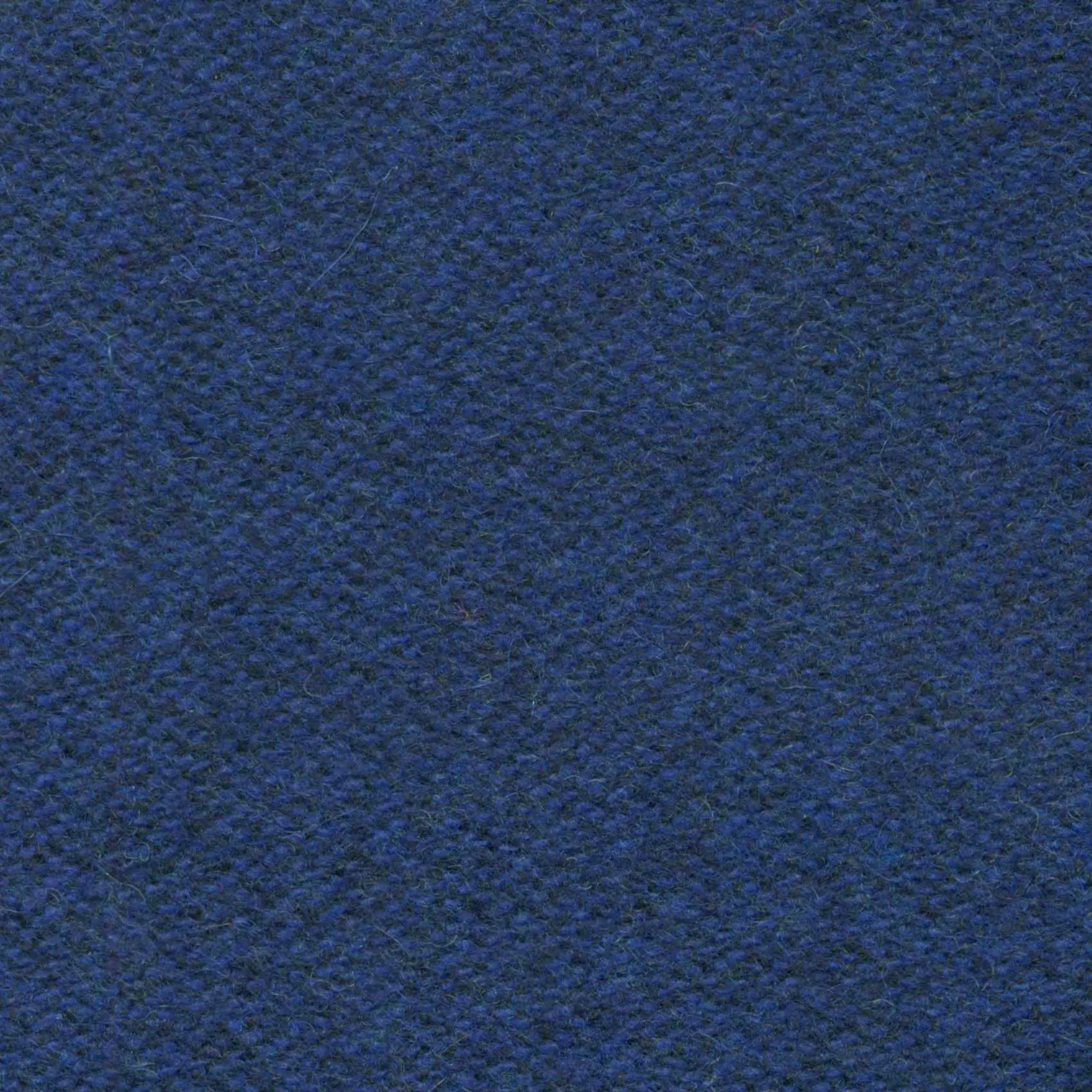 Denim 516 | Savoy FR