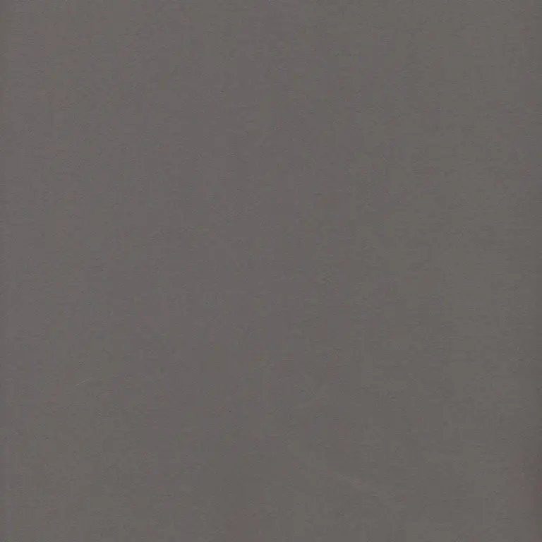 Pewter 704
