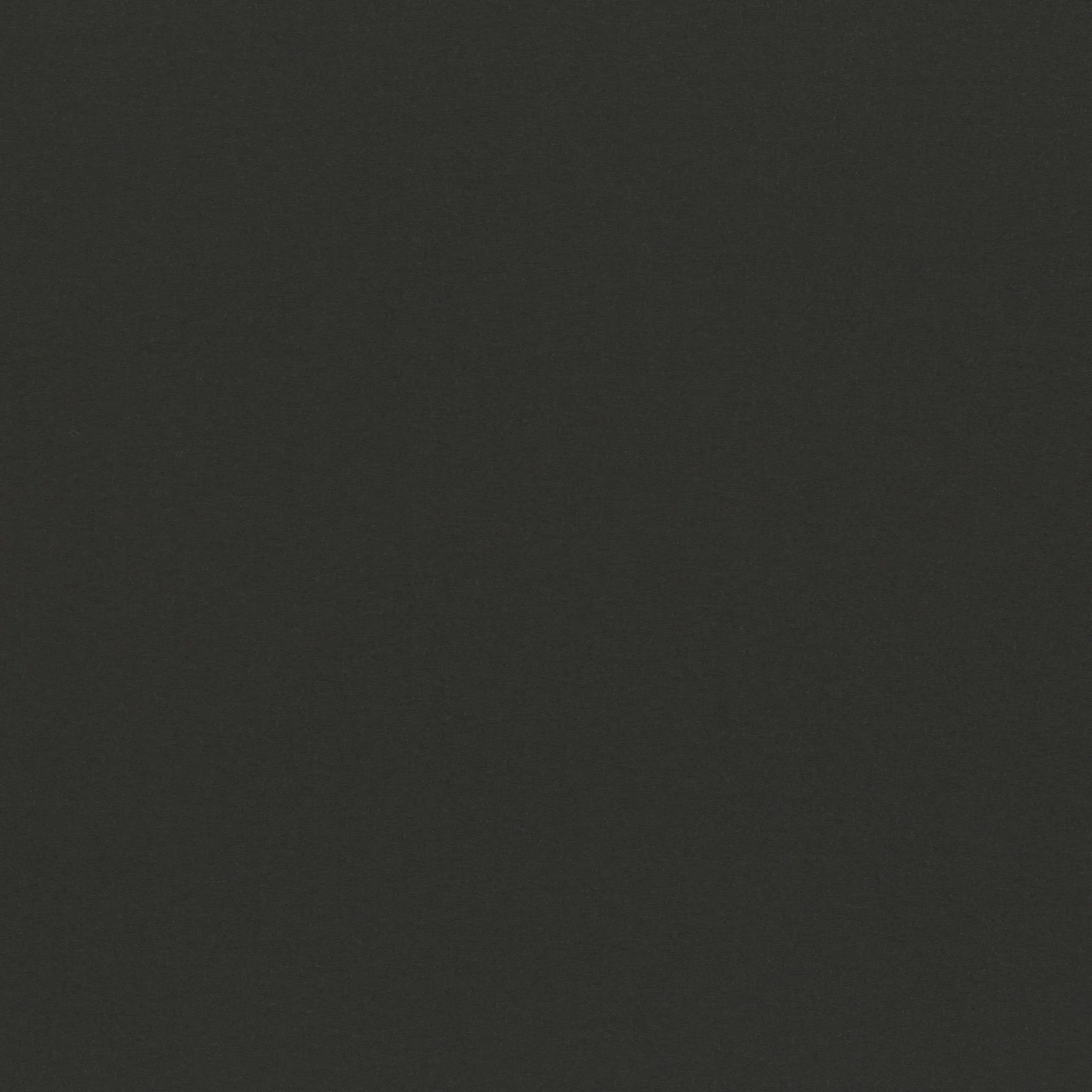 Black Beauty 30 | Sage