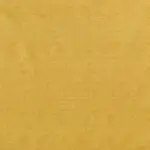 Nugget 1539 | Yamir